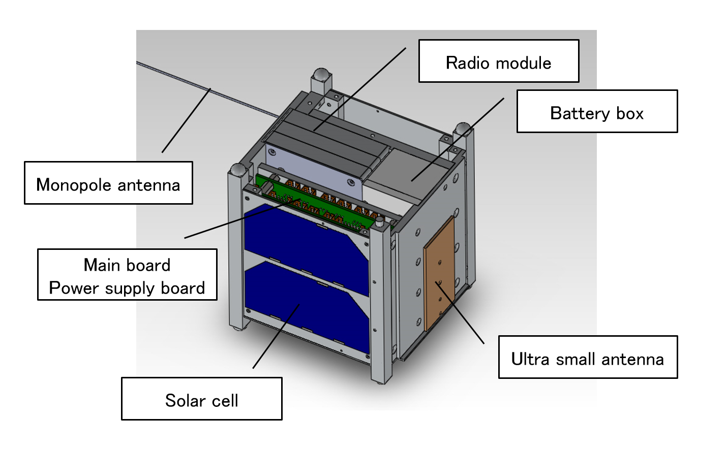 Appearance of ITF-1